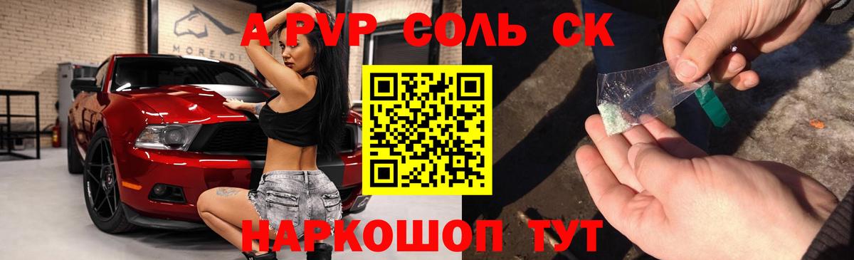 Альфа ПВП СК Кисловодск
